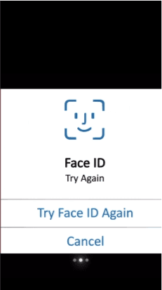 Face ID Capcut Template